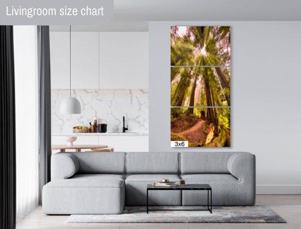 Product Image and Link for Redwood Morning