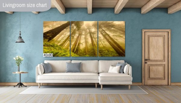 Product Image and Link for Redwoods in the Fog