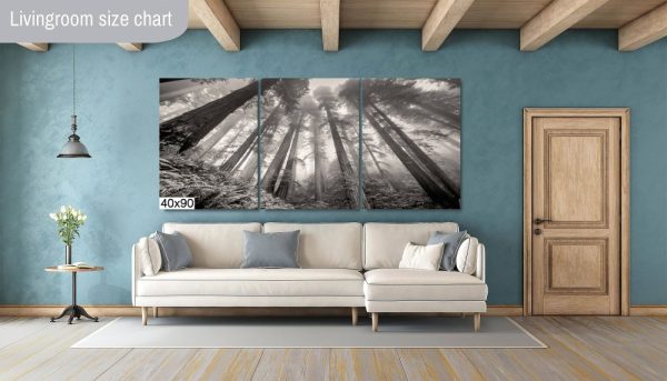 Product Image and Link for Redwoods in the Fog- Black and White