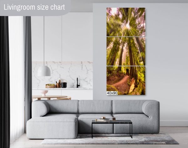 Product Image and Link for Redwood Morning