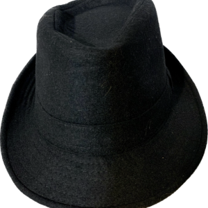 Product Image and Link for Black Matte Fedora