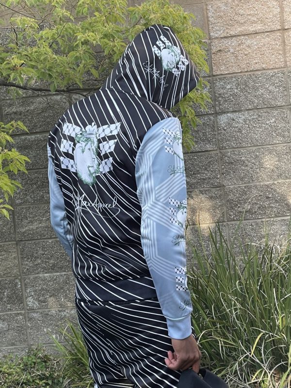 Product Image and Link for Lion Hoodie Sweat Suit