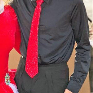 Product Image and Link for Red Sequin Necktie