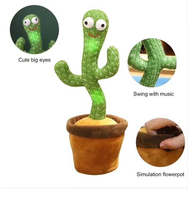 Product Image and Link for Dancing and Twisting Cactus