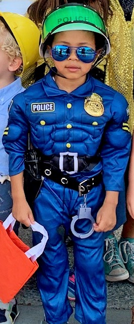 Product Image and Link for Toddler Police Costume