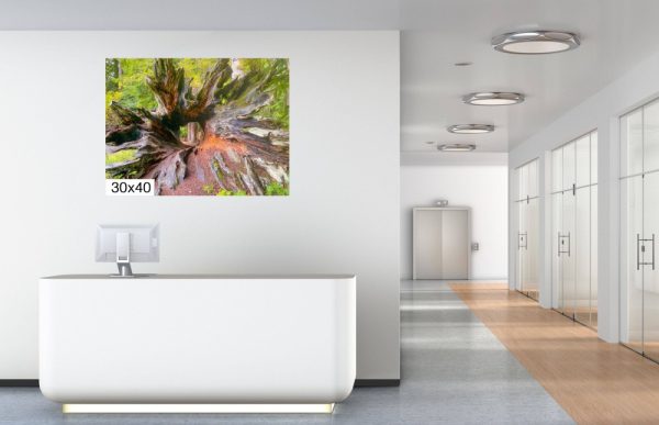 Product Image and Link for Hollow Redwood Log