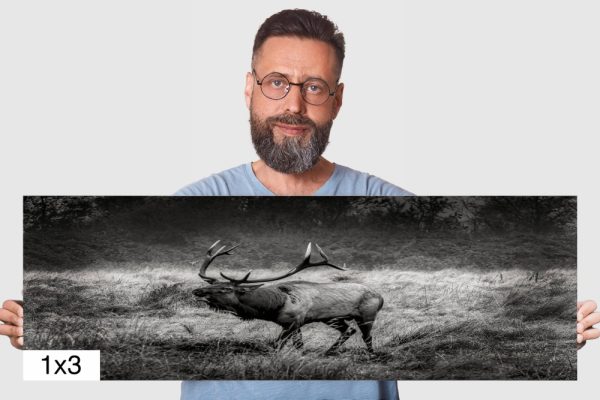 Product Image and Link for Elk Bugle