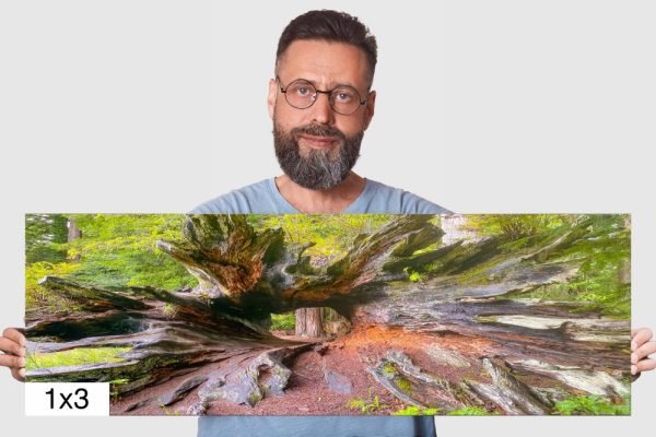 Product Image and Link for Hollow Redwood Log