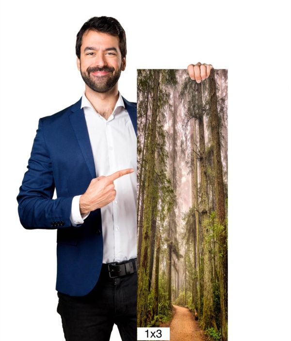 Product Image and Link for Redwoods in the Fog