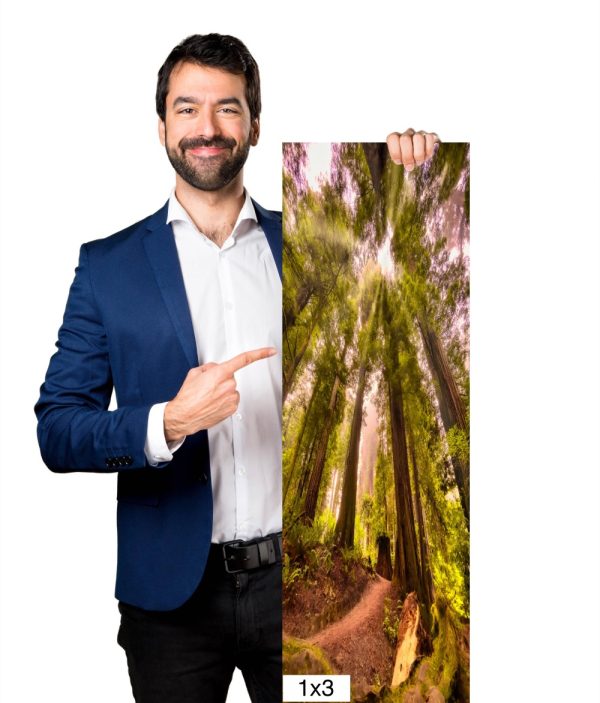 Product Image and Link for Redwood Morning