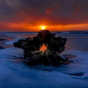 Product Image and Link for Driftwood Sunset