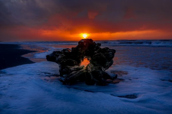 Product Image and Link for Driftwood Sunset