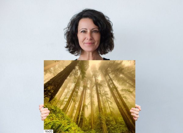 Product Image and Link for Redwoods in the Fog