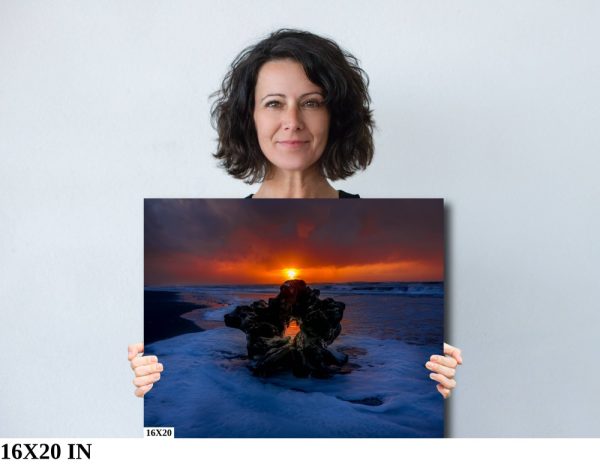 Product Image and Link for Driftwood Sunset