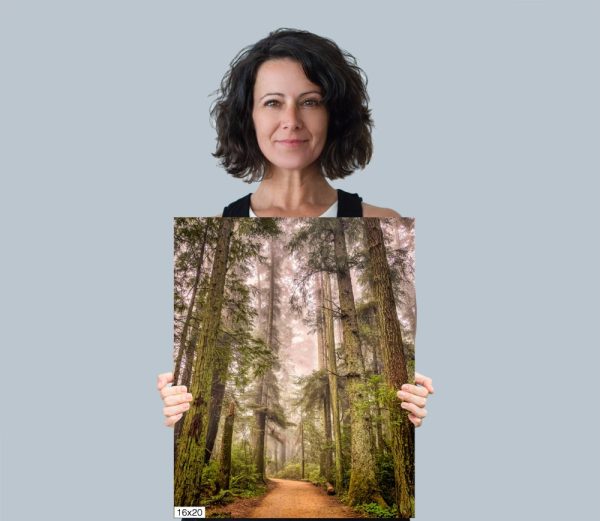 Product Image and Link for Redwoods in the Fog
