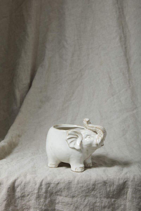Product Image and Link for Lucky Elephant Pot