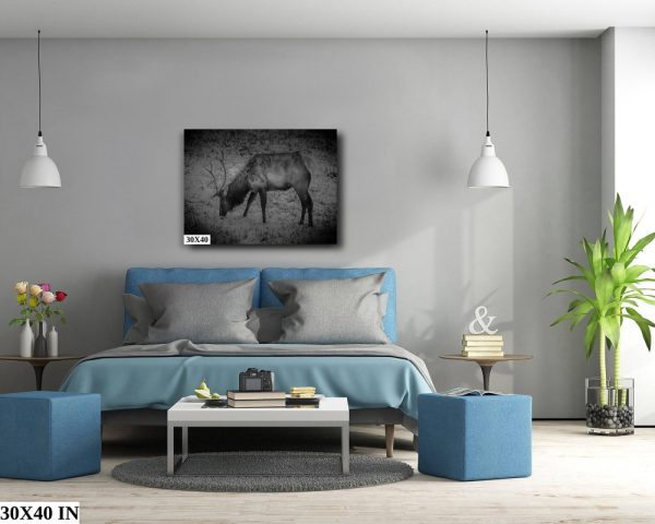 Product Image and Link for Snowy Elk- Black and White.