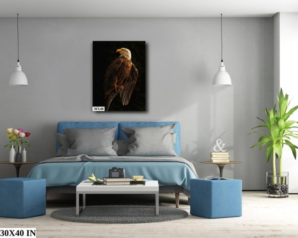 Product Image and Link for Bald Eagle Pose
