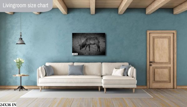 Product Image and Link for Snowy Elk- Black and White.