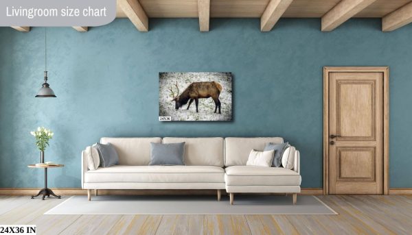 Product Image and Link for Snowy Elk