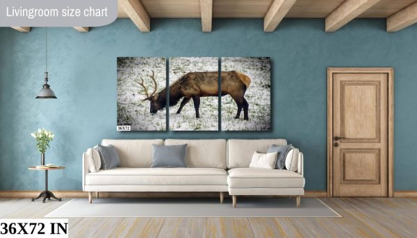 Product Image and Link for Snowy Elk