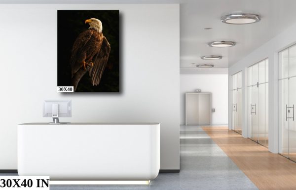 Product Image and Link for Bald Eagle Pose