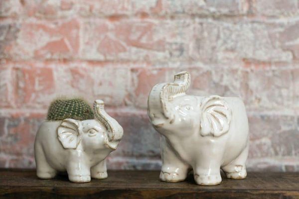 Product Image and Link for Lucky Elephant Pot