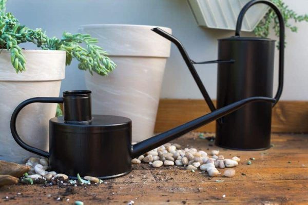 Product Image and Link for Fletch Watering Can