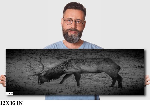 Product Image and Link for Snowy Elk- Black and White.