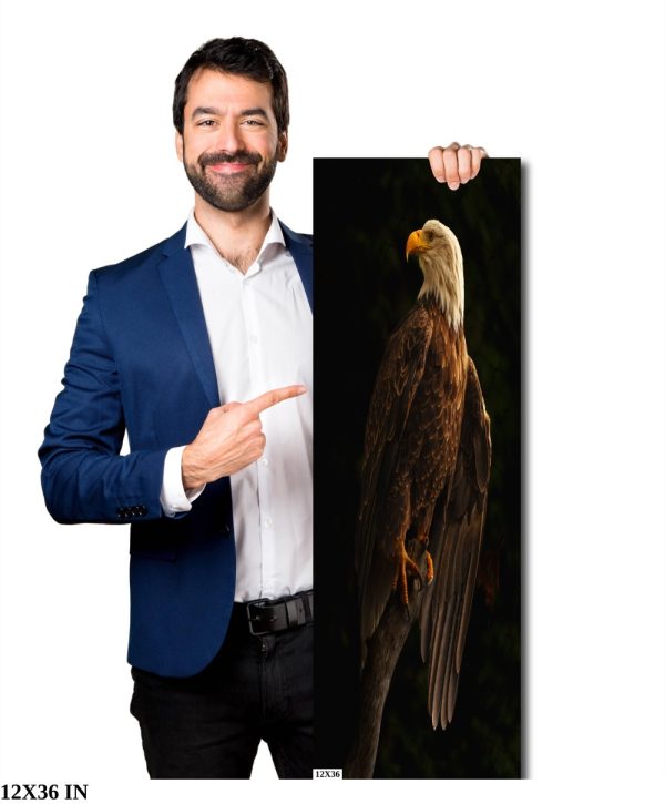 Product Image and Link for Bald Eagle Pose