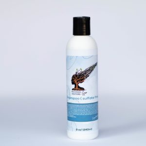 Product Image and Link for Hydrating Aloe Shampoo (sulfate-free)