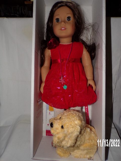 American Girl Dog Dress