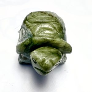 Product Image and Link for South Jade Turtle