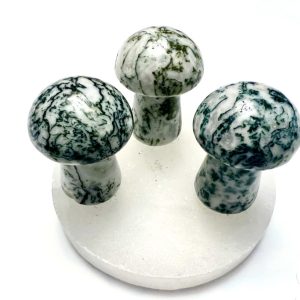 Product Image and Link for Moss Agate Mushrooms