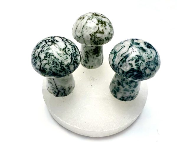 Product Image and Link for Moss Agate Mushrooms