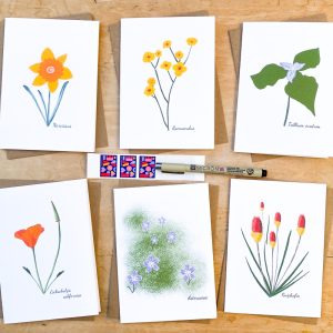Product Image and Link for Spring Wildflower Assorted Stationery – Set of Six Cards