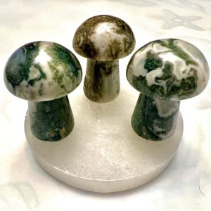 Product Image and Link for Moss Agate Mushroom