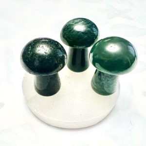 Product Image and Link for Moss Agate Mushroom