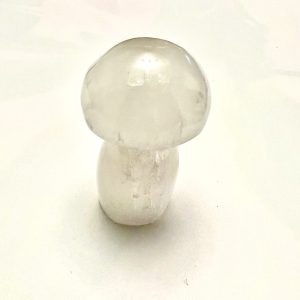 Product Image and Link for Selenite Mushrooms