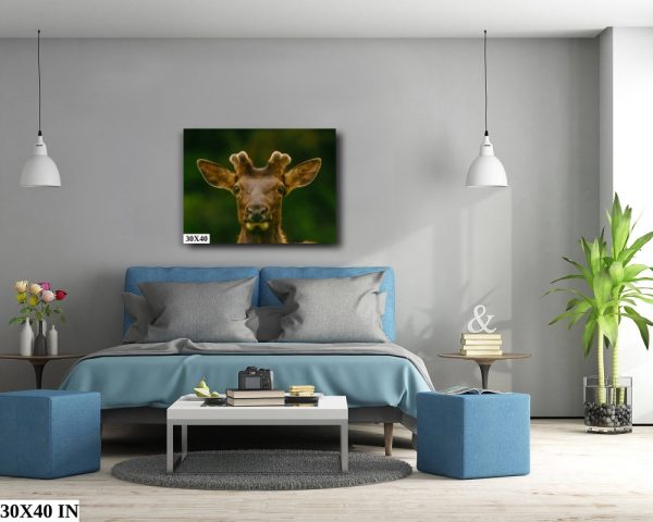 Product Image and Link for Elk Print