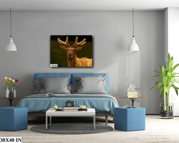 Product Image and Link for Bull Elk in Velvet