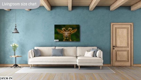 Product Image and Link for Elk Print