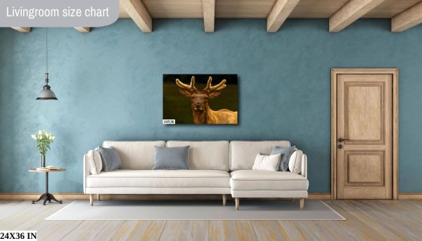 Product Image and Link for Bull Elk in Velvet