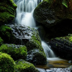 Product Image and Link for Trillium Falls