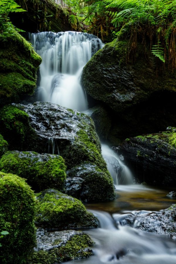 Product Image and Link for Trillium Falls
