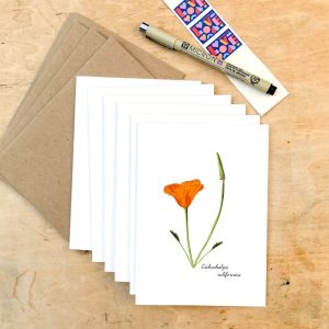 Product Image and Link for California Poppy Botanical Stationery Set – Set of Six Cards