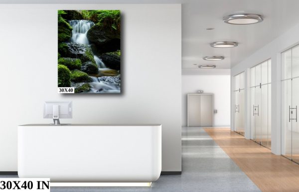 Product Image and Link for Trillium Falls