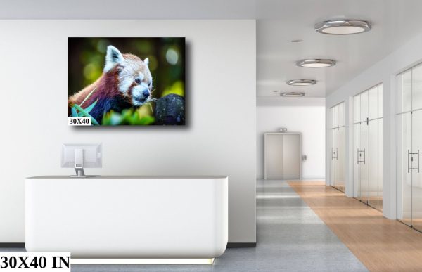 Product Image and Link for Red Panda Print