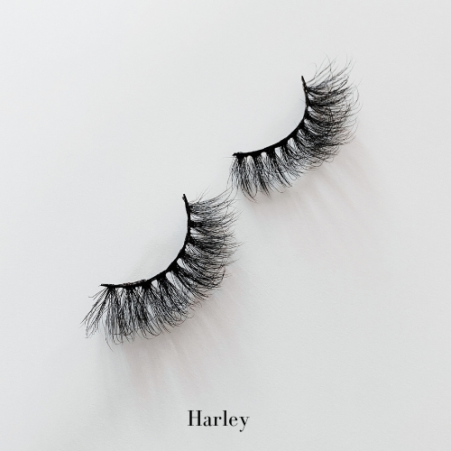 Product Image and Link for Harley