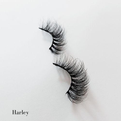 Product Image and Link for Harley